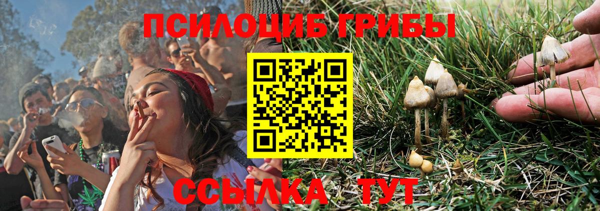 Галлюциногенные грибы Magic Shrooms Курчатов