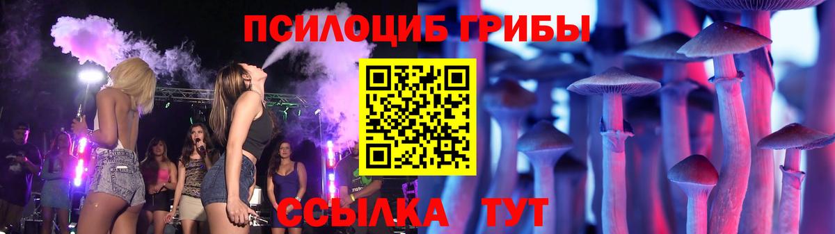 закладки  Галлюциногенные грибы Psilocybine cubensis  Вход с VPN  Галлюциногенные грибы MAGIC MUSHROOMS  Курчатов 