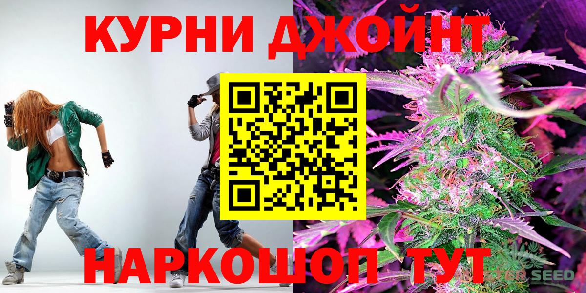 Каннабис сатива Курчатов